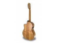 apc-1-koa-c-cw_560bbcfda25ff.jpg