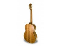 apc-1-koa-c_560bbc649999a.jpg