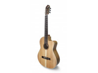 apc-10-koa-koa-cw_6036305a8331b.jpg