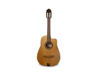 APC  3CUB 100 C CW Tres Cubano