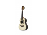 apc-br-luthier_5c8fb98ec3470.jpg