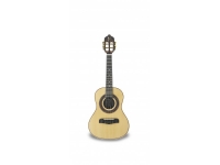 apc-bro-luthier_5c8fba2149e9c.jpg