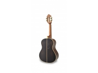 apc-bro-luthier_5c8fba2171f84.jpg