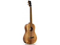 apc-bs-baritono-simples_60352d46d618f.jpg