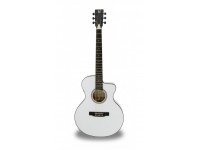 apc-ea-100-wht-cw_560d25234b0a6.jpg