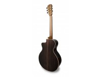 apc-ea-luthier-cw_5f7c3d498e467.jpg