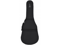 apc-estojo-bouzouki-irlandes-eirbzk_603e096581a08.jpg
