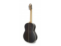 apc-luthier-cw_60366ccc7bd0d.jpg