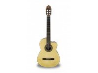 apc-luthier-gold-cw_560c12942d573.jpg