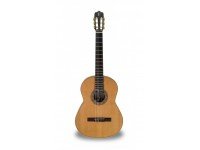 apc-luthier-gold_560c11d14ca6c.jpg
