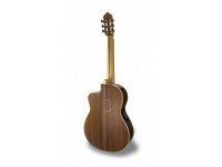 apc-luthier-mx-cw_560c13a38638b.jpg