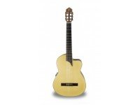 apc-luthier-mx-cw_560c13a3ae448.jpg