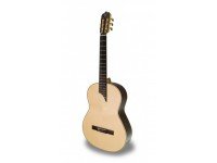 apc-luthier-mx_560c131d07848.jpg