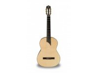 apc-luthier-mx_560c131d30559.jpg