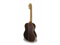 apc-luthier-mx_560c131d57da0.jpg