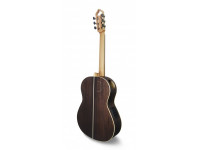 apc-luthier-mx_60366ad748b59.jpg