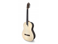 apc-luthier-mx_60366ad7923df.jpg