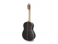 apc-luthier_603666f4dd2c8.jpg
