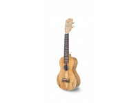 apc-s-oak_6037db811254e.jpg
