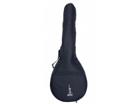 apc-saco-bouzouki-irlandes-sirbzk-a_603d0aafe2cb4.jpg