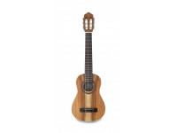 apc-tr200-koa-koa-ny_603796519de09.jpg