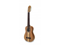 apc-tr200-koa-koa-ny_60379651c349f.jpg