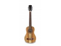 apc-tr200-koa-koa-st_60379853e2251.jpg