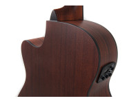 applause-wood-classics-aeo96-m-orchestra-model-electro_6834357ce779f.jpg