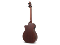 applause-wood-classics-aeo96-m-orchestra-model-electro_683435834cfe9.jpg