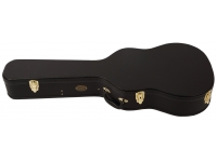 ashton-ashton-apcc-estojo-guitarra-classica_5e319febddbcb.jpg
