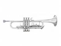 bach-tr305sbp_590afb27a4963.jpg