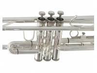 bach-tr305sbp_590afb27d5eba.jpg