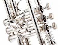 bach-vbs1s_590b08bddb9e8.jpg
