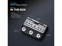 <b>BOSS DM-101 DELAY MACHINE 8 Chips BBD Bucket-brigade device</b>