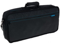 <b>BOSS PREMIUM GIG BAG Bolsa Almofadada Multi-aplicações Universal</b>