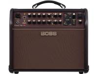 boss-acoustic-singer-live_59675c12597d6.jpg