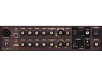 boss-acs-acoustic-singer-live-combo-amplificador-guitarra-acustica-voz-vocalista-xlr-chorus_6398a785d1abd.jpg
