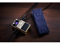 boss-rt-2-rotary-ensemble_687a67442cd65.jpg