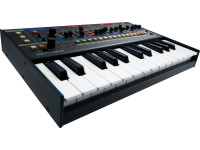 <b>PACK ICONIC SYNTH Roland JU-06A + KEYBOARD ROLAND K-25M</b>