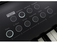 <b>PACK PIANO Roland FP-E50 + SACO TRANSPORTE ALMOFADADO ROLAND CB-B88V2</b>