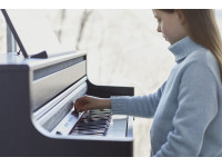 bpiano-digital-roland-hp704-ch-charcoal-black-preto-acetinado-premium-piano-eletrico-vertical-b_68b82ab541fb5.jpg