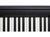 broland-fp-10-piano-eletronico-portatil-preto-88-teclas-pesadas-qualidade-preco-imbativel-best-seller-b_6830557a8d3c8.jpg