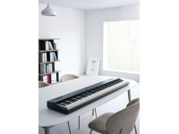 broland-go-piano-88-px-portable-piano-iniciacao-musical-88-teclas-b_683d8d00e576e.jpg
