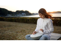 <b>Roland MN-10 MOOD PAN Handpan Percussão Eletrónica</b>