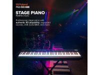 <b>Roland RD-88 EX Piano de Palco Profissional 88 teclas pesadas EXPANDED ACOUSTIC PIANO 3</b>