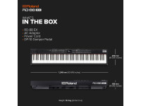 <b>Roland RD-88 EX Piano de Palco Profissional 88 teclas pesadas EXPANDED ACOUSTIC PIANO 3</b>