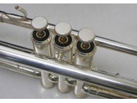 buffet-crampon-be800-2-0_570fbc461ab28.jpg