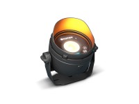 cameo-drop-b1_5f3beda2d15f5.jpg