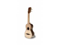 cavaquinho-apc-100-mt_55cc6c7bbb5e2.jpg