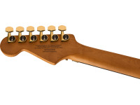 charvel-pm-plus-srs-sc1-hh-fr-eb-car_6890d761c4cd9.jpg